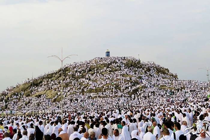 روز عرف